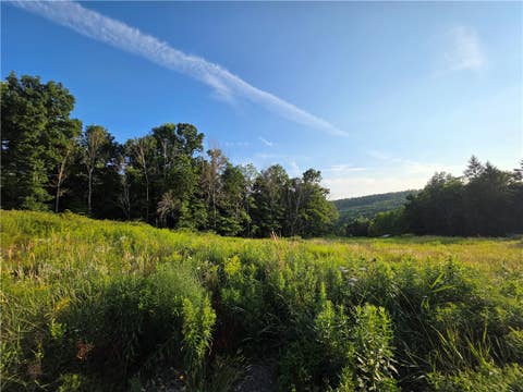 Tiny photo for 652 Ideuma Road, Unadilla, NY 13849 (MLS # R1701688)
