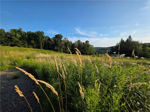 Tiny photo for 652 Ideuma Road, Unadilla, NY 13849 (MLS # R1701688)