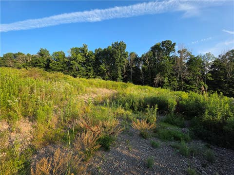Tiny photo for 652 Ideuma Road, Unadilla, NY 13849 (MLS # R1701688)