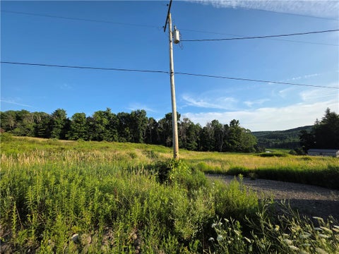 Tiny photo for 652 Ideuma Road, Unadilla, NY 13849 (MLS # R1701688)