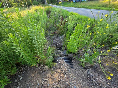 Tiny photo for 652 Ideuma Road, Unadilla, NY 13849 (MLS # R1701688)