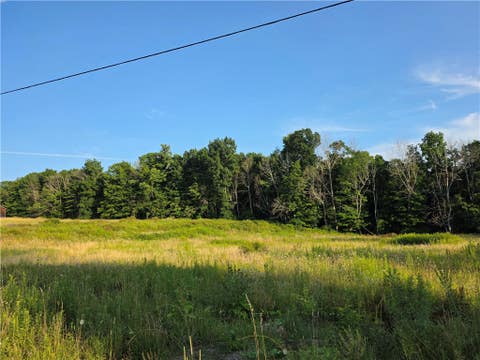 Tiny photo for 652 Ideuma Road, Unadilla, NY 13849 (MLS # R1701688)
