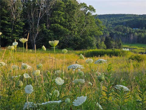 Tiny photo for 652 Ideuma Road, Unadilla, NY 13849 (MLS # R1701688)