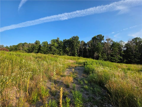 Tiny photo for 652 Ideuma Road, Unadilla, NY 13849 (MLS # R1701688)