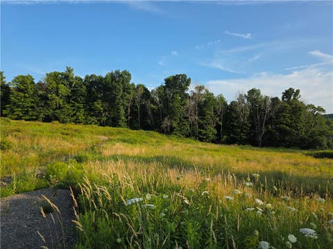 Photo of 652 Ideuma Road, Unadilla, NY 13849 (MLS # R1701688)