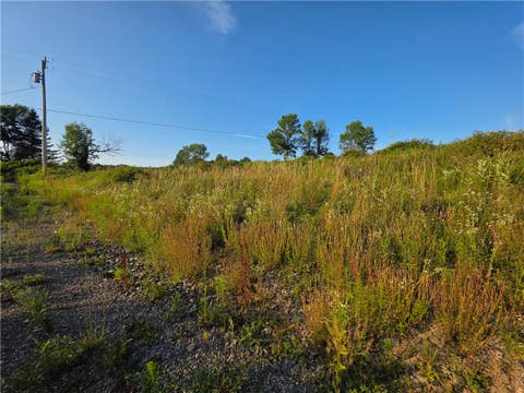 Tiny photo for 652 Ideuma Road, Unadilla, NY 13849 (MLS # R1701688)