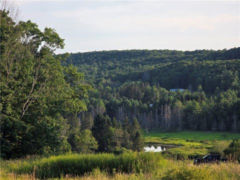 Tiny photo for 652 Ideuma Road, Unadilla, NY 13849 (MLS # R1701688)