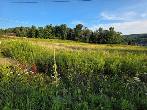 Tiny photo for 652 Ideuma Road, Unadilla, NY 13849 (MLS # R1701688)