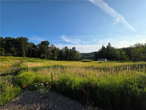 Tiny photo for 652 Ideuma Road, Unadilla, NY 13849 (MLS # R1701688)