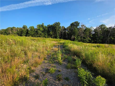 Tiny photo for 652 Ideuma Road, Unadilla, NY 13849 (MLS # R1701688)