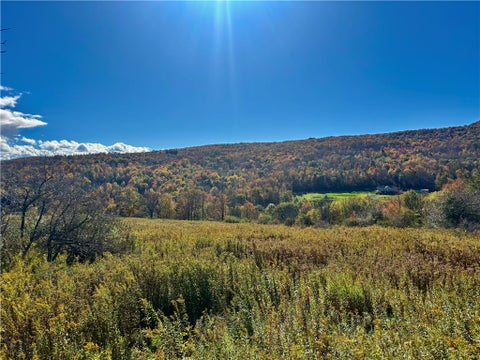 Vacant Land For Sale - LOT 14 Heatherland Lane<br/> Middletown, NY 12438