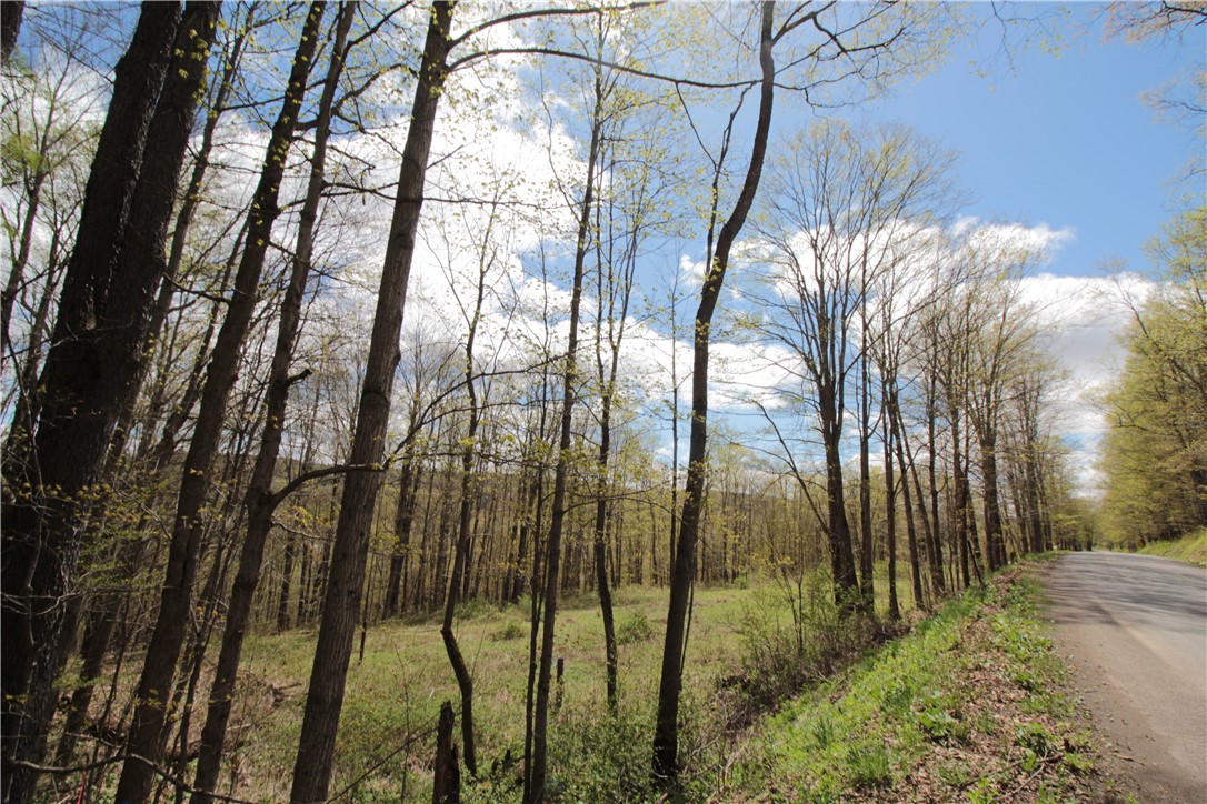 200 Mertz Road, Bainbridge, New York image 42