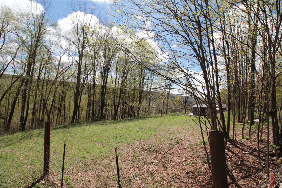 200 Mertz Road, Bainbridge, New York image 44
