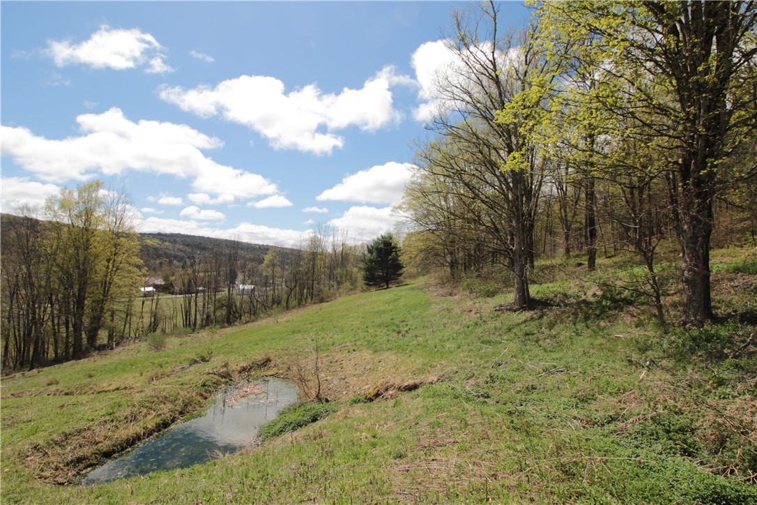200 Mertz Road, Bainbridge, New York image 49