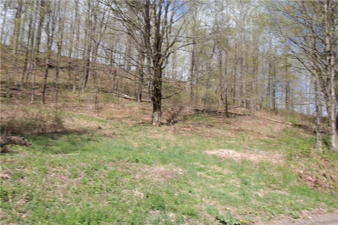 200 Mertz Road, Bainbridge, New York image 45