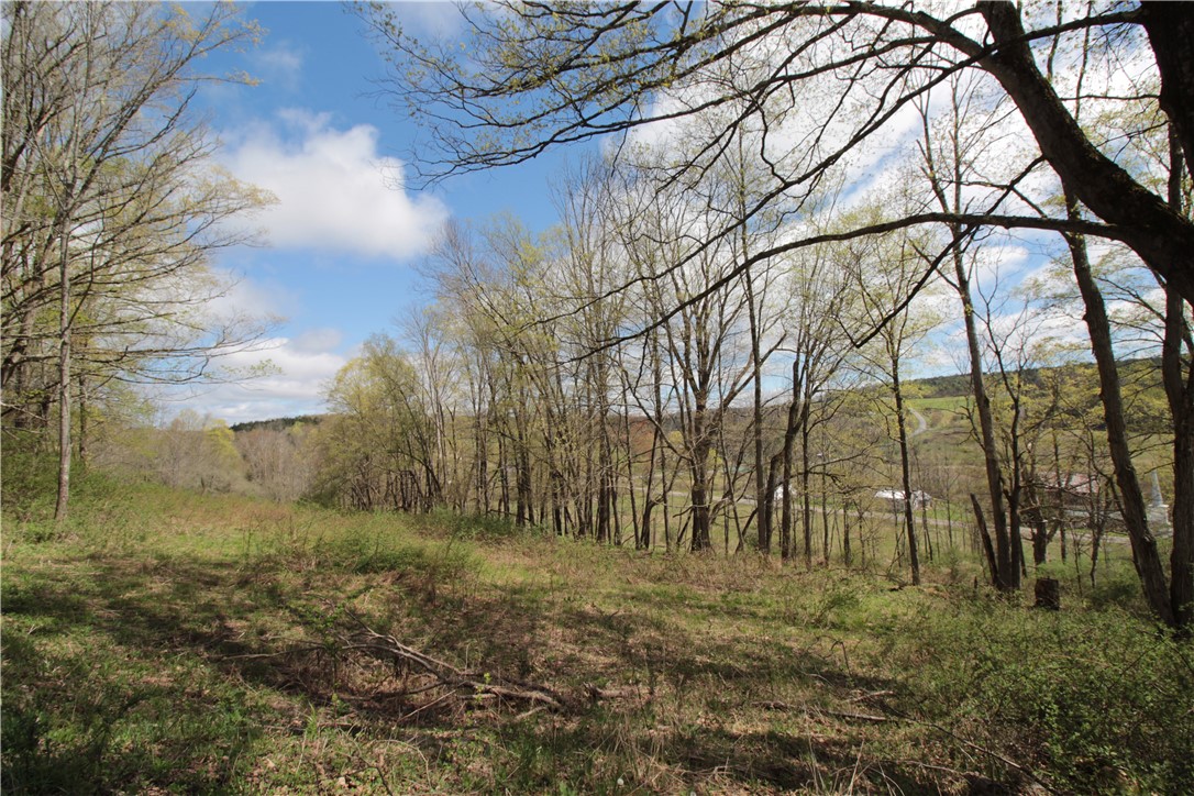 200 Mertz Road, Bainbridge, New York image 48