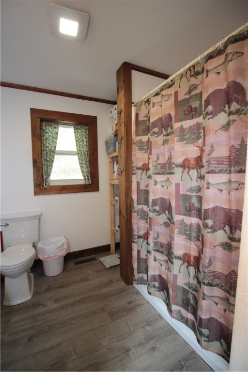 200 Mertz Road, Bainbridge, New York image 22