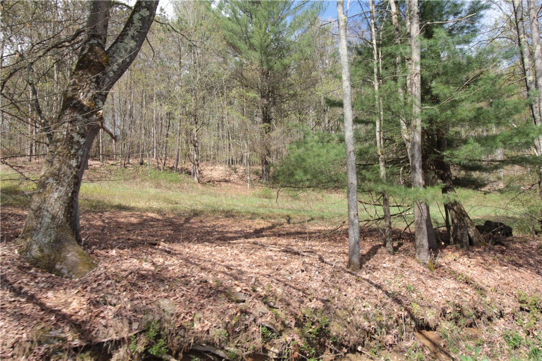 200 Mertz Road, Bainbridge, New York image 46