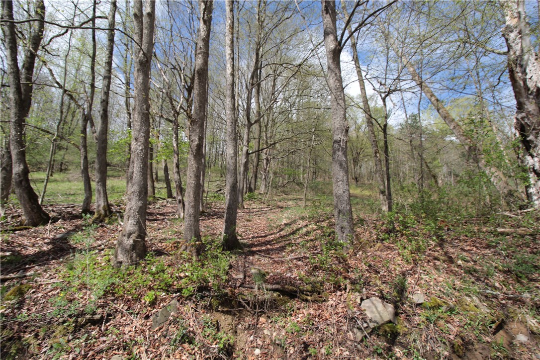 200 Mertz Road, Bainbridge, New York image 47
