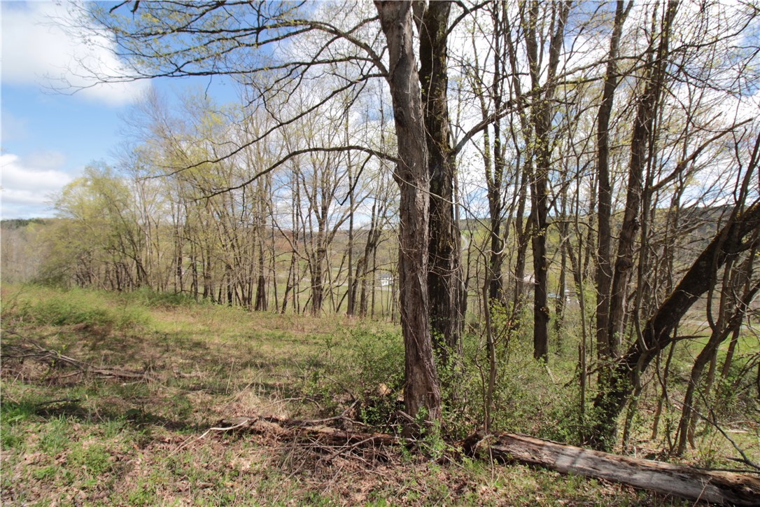 200 Mertz Road, Bainbridge, New York image 38