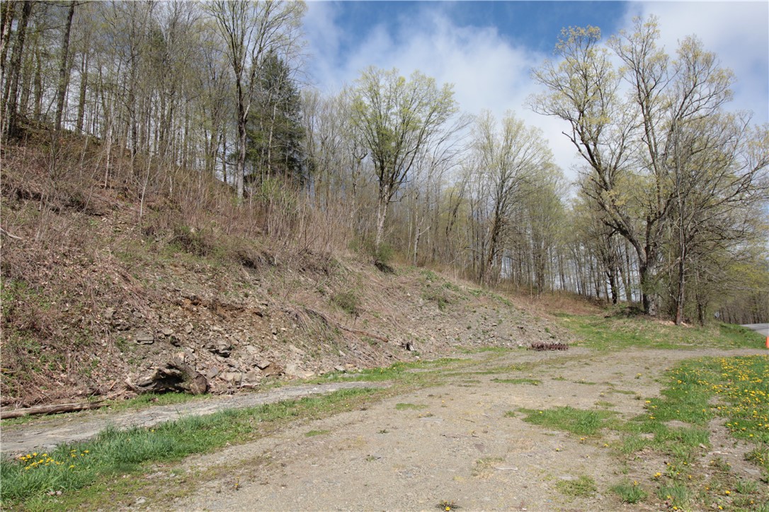 200 Mertz Road, Bainbridge, New York image 37