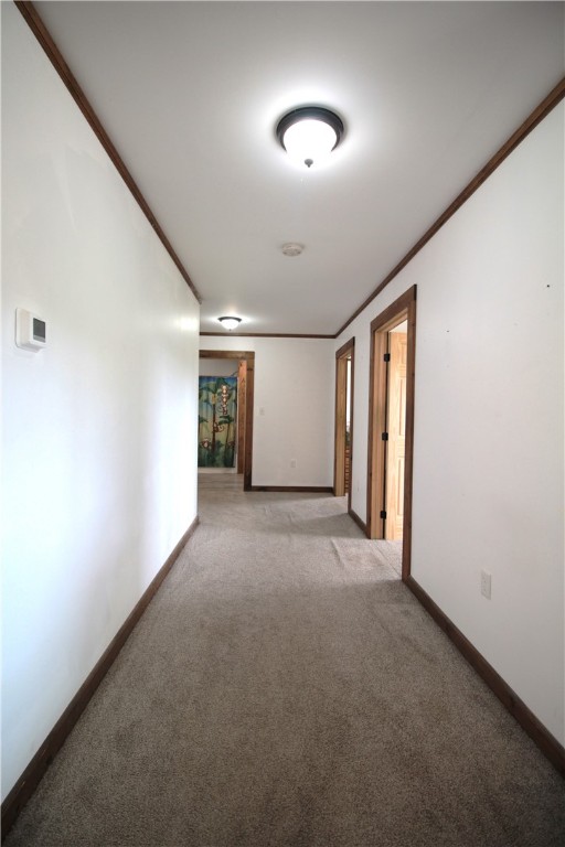 200 Mertz Road, Bainbridge, New York image 12