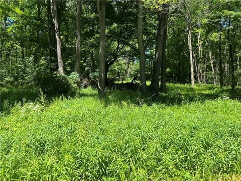Photo of 0 Wiley Town Road, Fly Creek, NY 13337 (MLS # R1528738) Photo of 0 Wiley Town Road, Fly Creek, NY 13337 (MLS # R1528738)