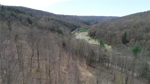 Vacant Land For Sale - County Route 9<br/> Prattsburgh, NY 14873