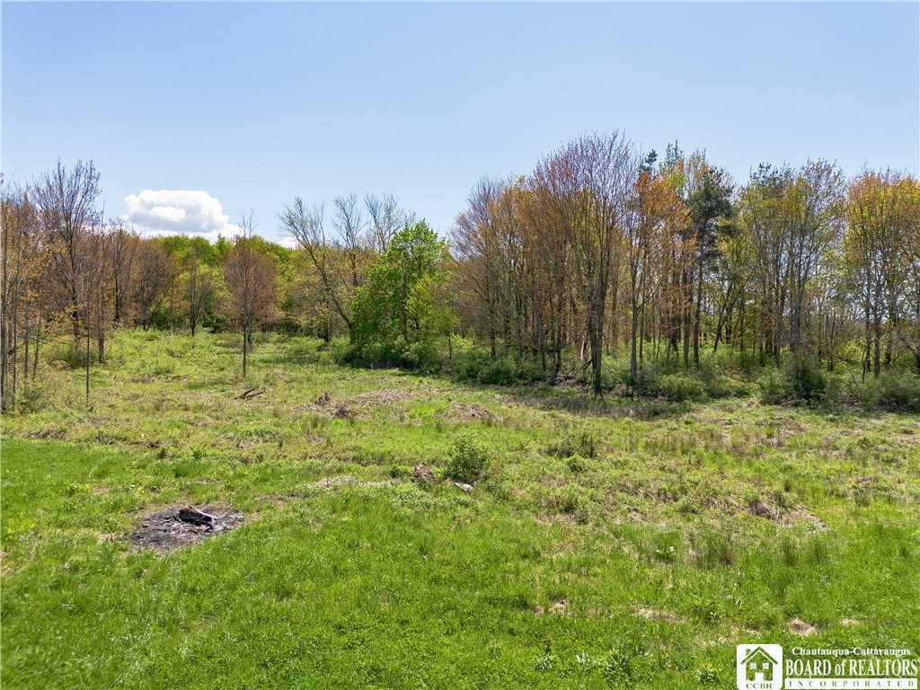132 Bliss Street, Westfield, New York image 32