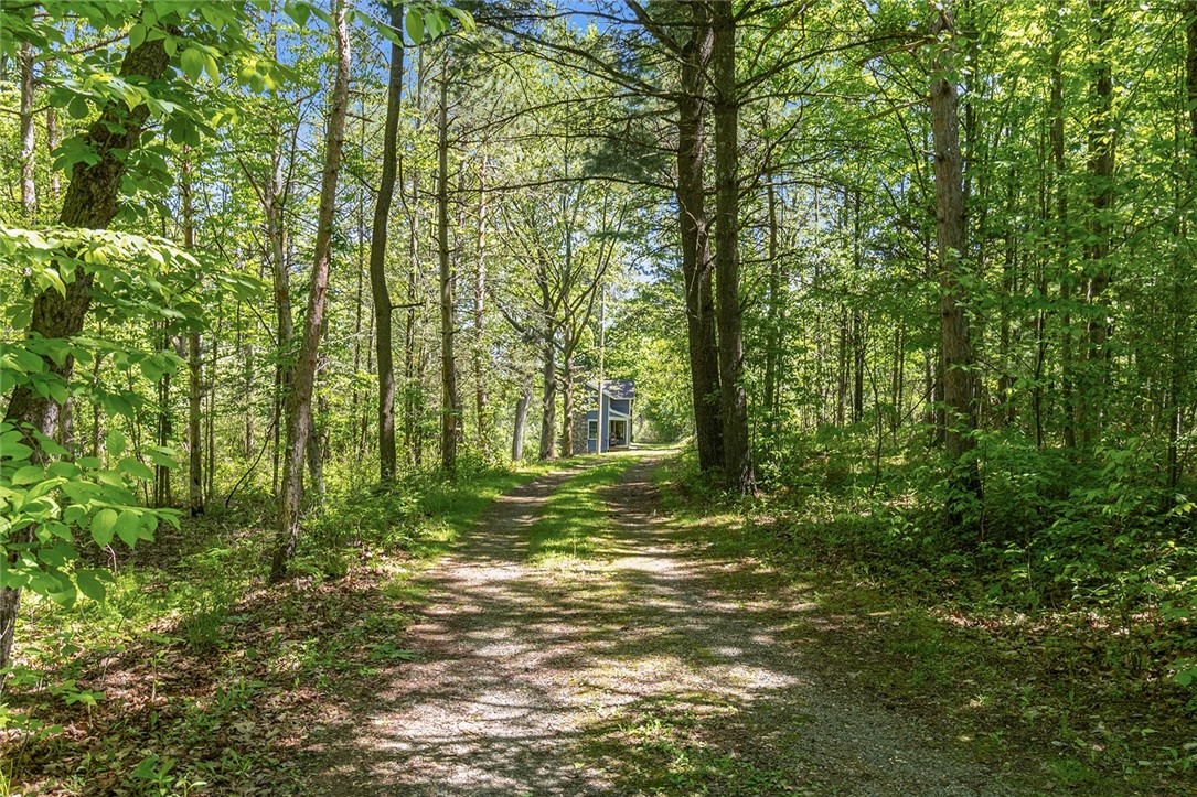 9137 Silsbee Road, Wayne, New York image 44