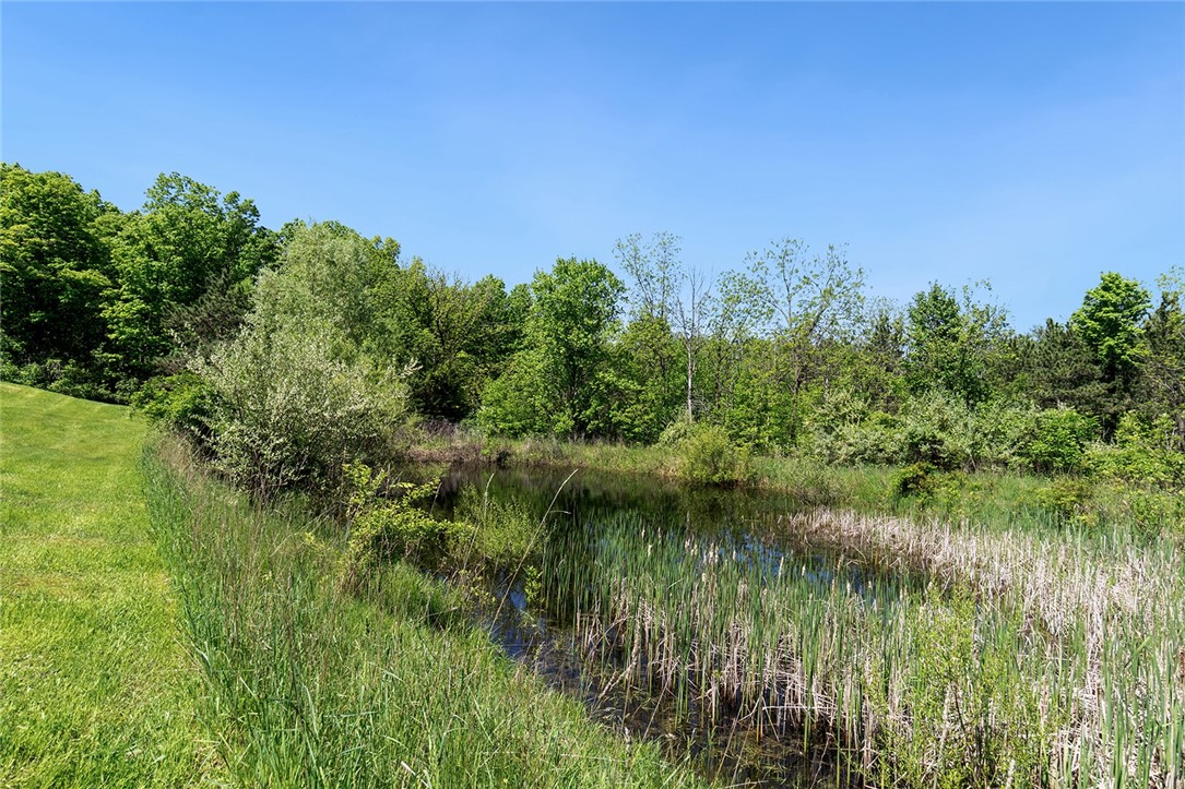 9137 Silsbee Road, Wayne, New York image 42