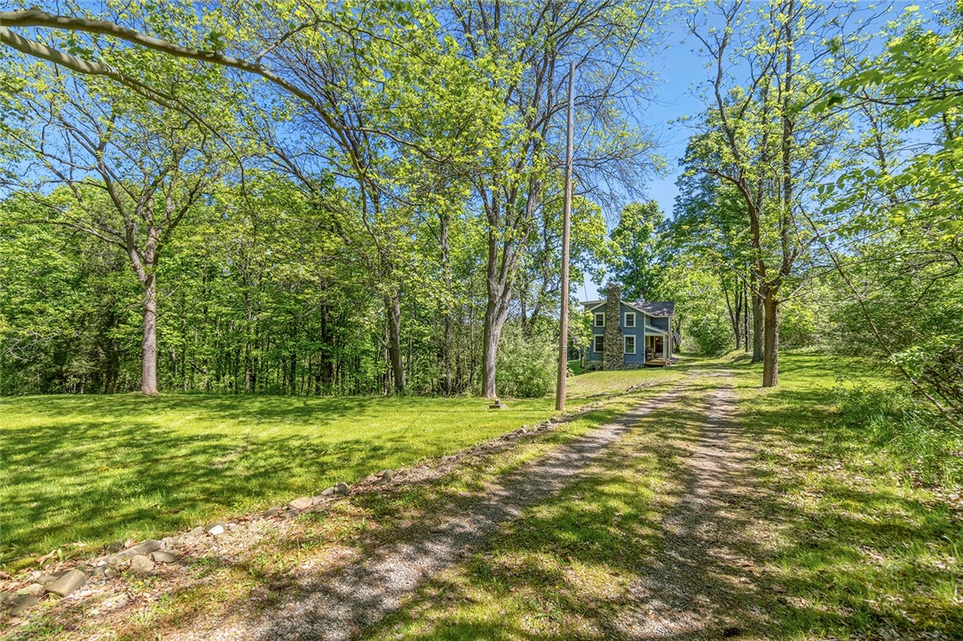 9137 Silsbee Road, Wayne, New York image 45