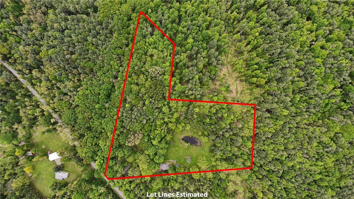 9137 Silsbee Road, Wayne, New York image 47