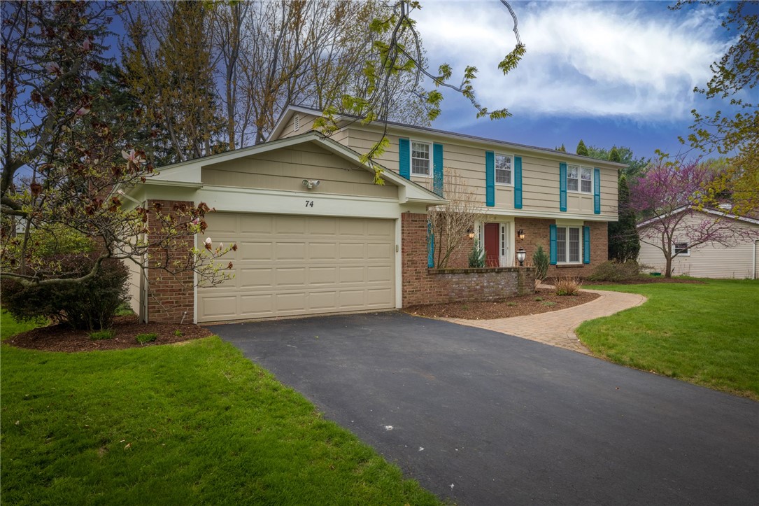 74 harper drive