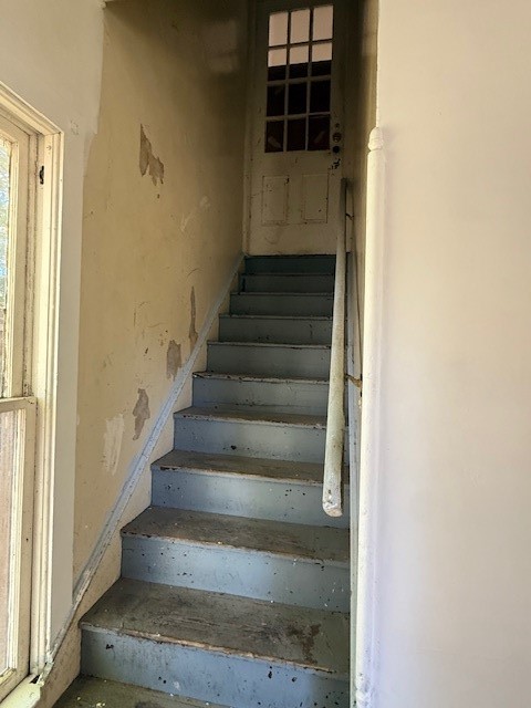 371 Fulton Street