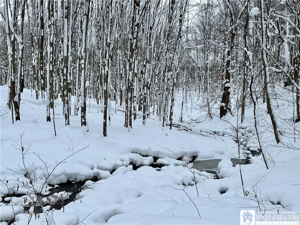 Hopkins Road, Ellington, New York image 1