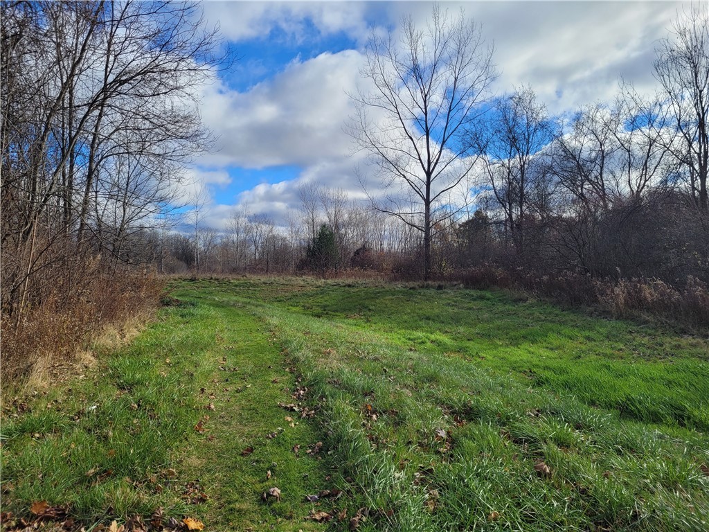 Benita Drive / Amy Lane, Clarkson, New York image 11