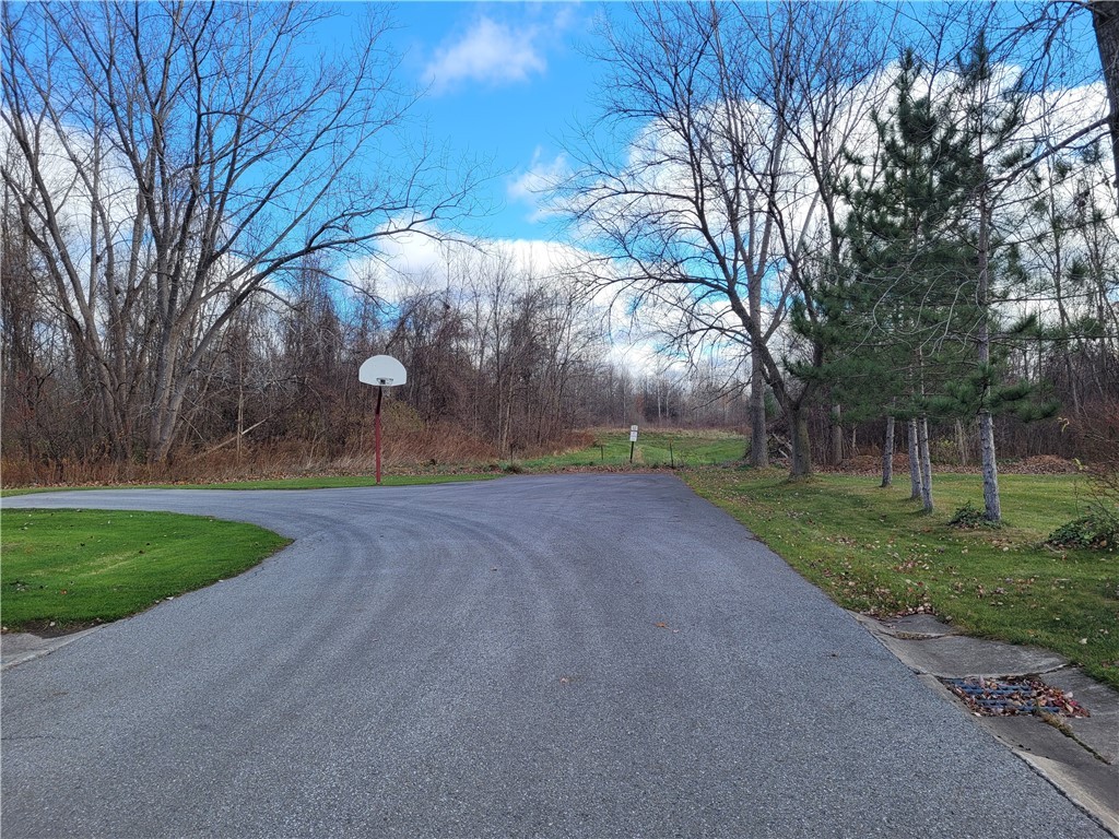 Benita Drive / Amy Lane, Clarkson, New York image 5