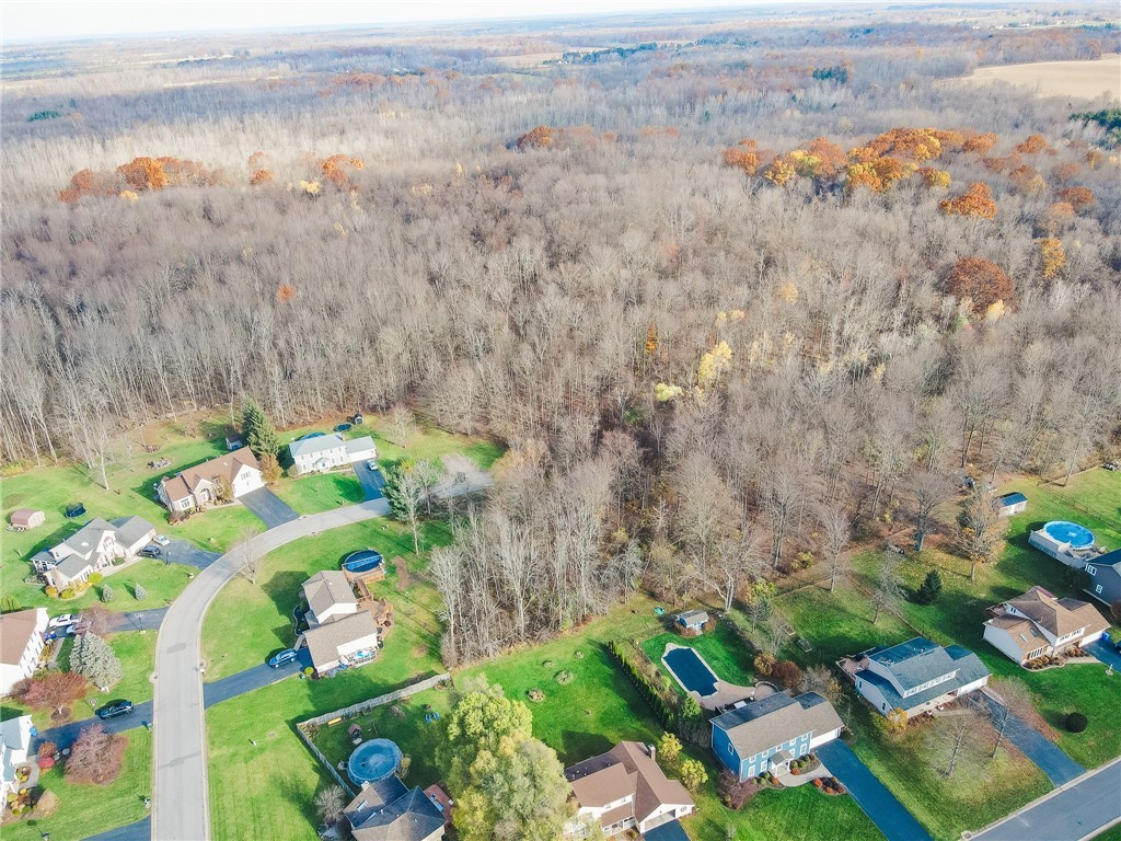 Benita Drive / Amy Lane, Clarkson, New York image 19