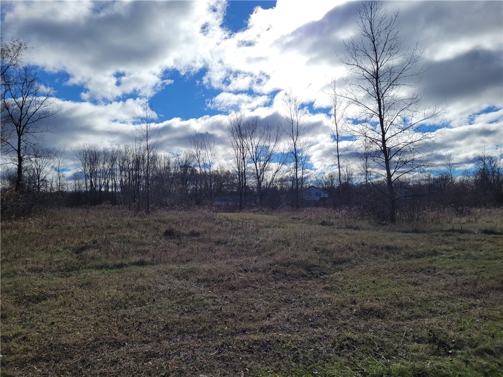 Benita Drive / Amy Lane, Clarkson, New York image 10