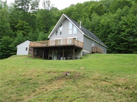 24780 State Highway 206 Downsville NY 13755