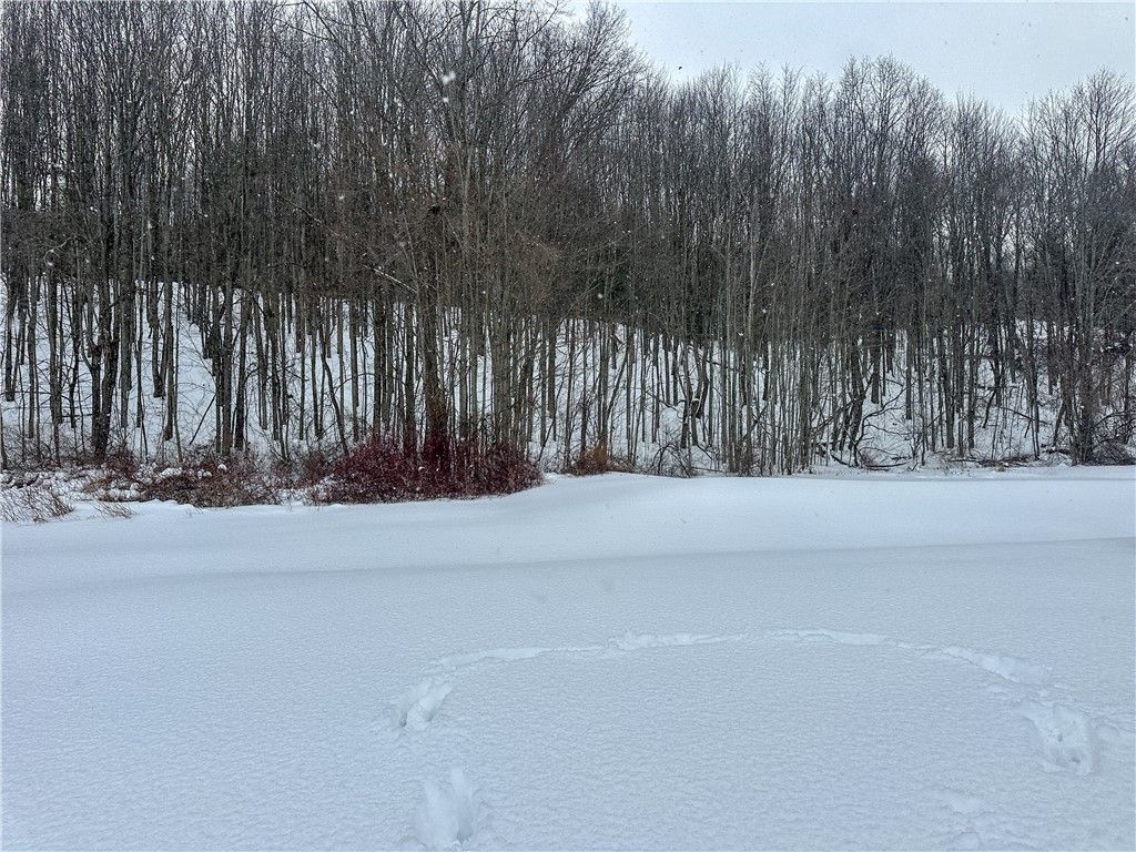 Photo of VL Lot 1 Buffalo Rd, Wayland, NY 14572 (MLS # R1668221)