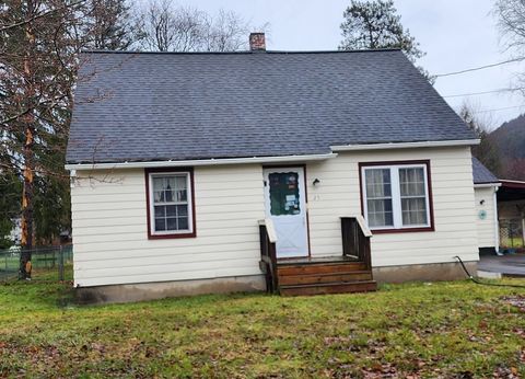 Homes For Sale - 25 Hopkins Street<br/> Unadilla, NY 13849