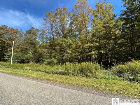 Vacant Land For Sale - 4094 Pierson Road<br/> Chautauqua County, Stockton, NY 14718