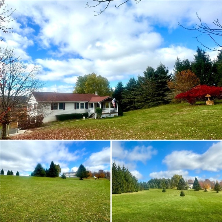 351 Round Top Road, Franklin, New York image 1