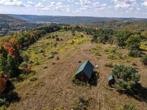 5272 County Route 8 Avoca NY 14809