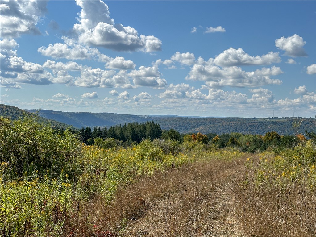 5272 County Route 8