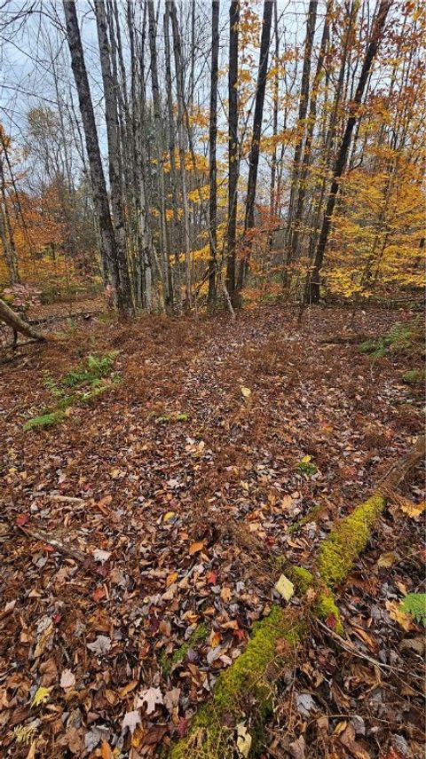 Tiny photo for 136 Dubois Lane, Oxford, NY 13830 (MLS # R1655096)