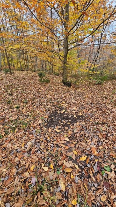 Tiny photo for 136 Dubois Lane, Oxford, NY 13830 (MLS # R1655096)