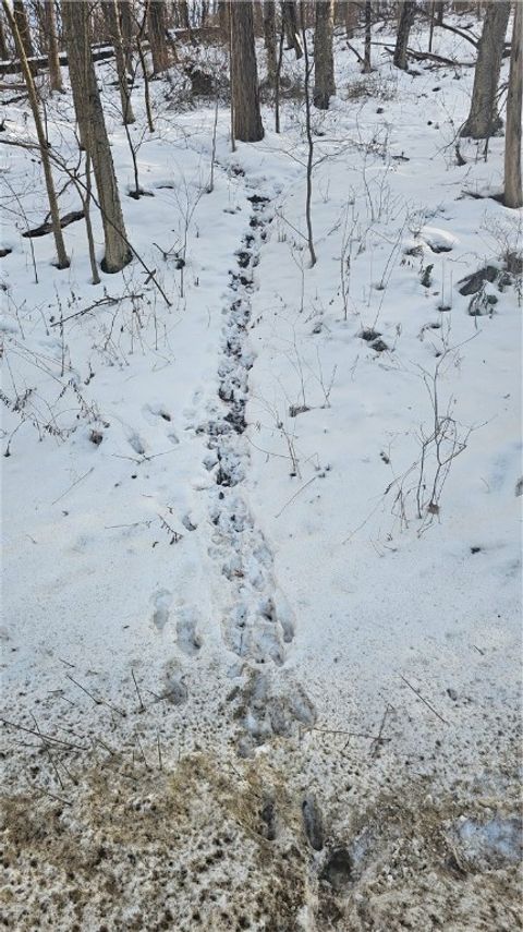 Tiny photo for 136 Dubois Lane, Oxford, NY 13830 (MLS # R1655096)